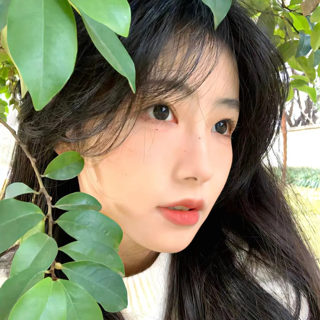 我埋葬了生机